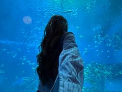 -南昌融创海世界