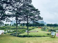 -光明小镇欢乐田园