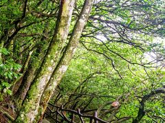 -萍乡武功山风景名胜区
