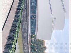 -上海鲜花港