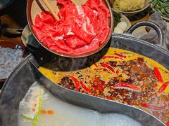 -阳阳老火锅(小南门店)