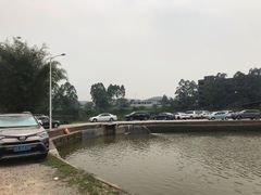 -满記土窑烧鷄波浪山莊