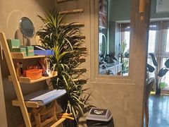 -施奈儿.洗头頭療.按摩SPA.采耳(上梅林店)