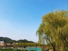 -普迪生态园