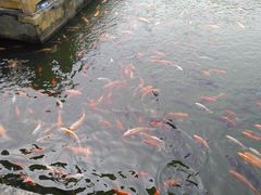 -威海华夏城景区