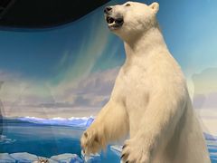 -陕西自然博物馆