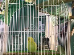 -天虹购物中心(石路店)