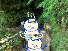 -碧峰峡风景区
