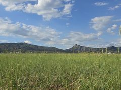 -敕勒川草原