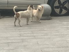 -和府捞面(凯德壹中心店)