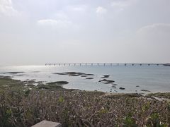-濑长岛