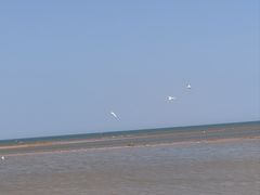 -东戴河风景区-止锚湾