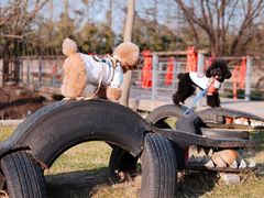 -前小桔亲子创意农场·草莓采摘·露营烧烤