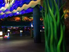 -青岛嘉年华主题乐园