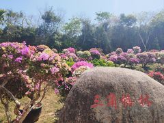 -三亚蜈支洲岛旅游区