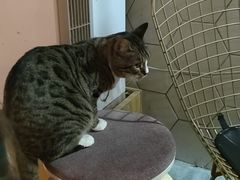-有何Book(六堰体育馆店)