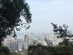-南山植物园