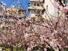 -上海浦东新区民办小白鸽幼儿园