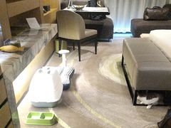 -天津东凯悦酒店