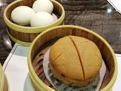 -金碧轩粤菜海鲜大酒楼