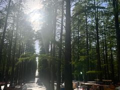 -渌洋湖湿地公园