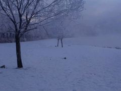 android_upload_pic-雾凇岛