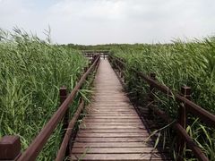 -西青郊野公园