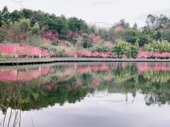 -五龙客家风情园
