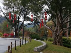 -云溪植物园