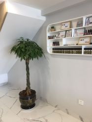 -臣丽纹眉全国连锁