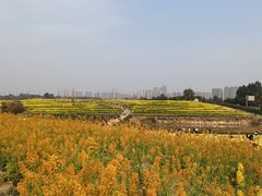 -三圣花乡旅游区