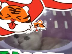 -宠颐生嘉德动物医院