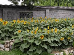 -三里河公园
