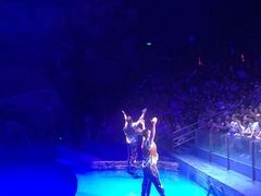 -芜湖新华联大白鲸海洋公园