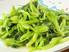 本地蔬菜-小小饭店·休闲农庄·安吉松树林里的农家菜
