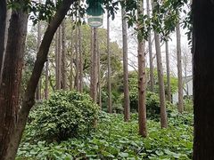 -上海醉白池公园