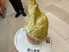 -野人先生现做冰淇淋(北京环宇荟店)
