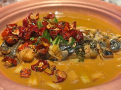 -柿合缘新京菜(国金中心商场店)