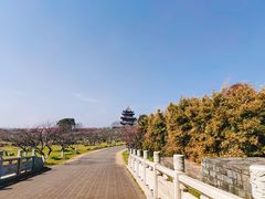-上海海湾国家森林公园