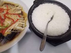 -煲来饱去冷水鱼