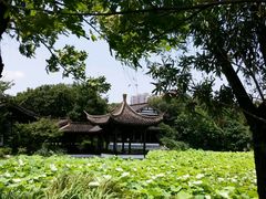 -高子水居