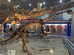 -国家自然博物馆