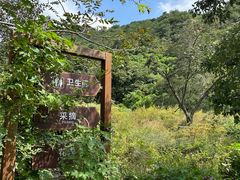 -大岭沟猕猴桃谷风景区