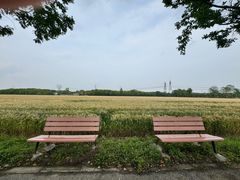 -嘉北郊野公园