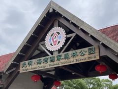 -上海海湾国家森林公园