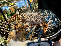 -Oyster Talks 四度蚝法餐厅