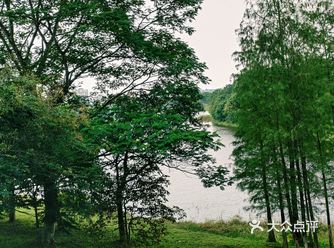 植物园好大啊,整片整片的绿色,很适合缓解压力