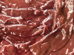 -二荆条·蜀鲜汇城市森林火锅