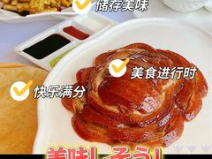-玖儿小桃红·东北菜·春饼烤鸭(南阳湖街店)