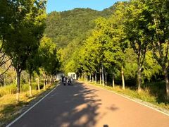-沣峪口